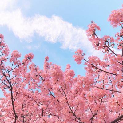 河神百度版下载