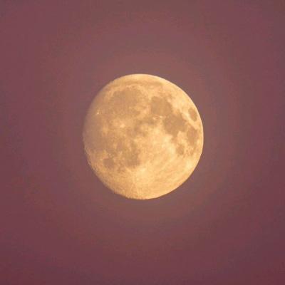 神魔九天内购破解版下载